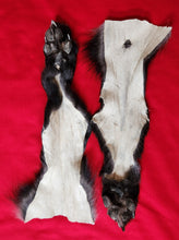 Load image into Gallery viewer, Black Wolf Rear Legskins - Pair - HAS FEET AND CLAWS - WLF1120
