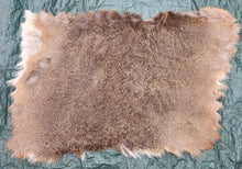 Load image into Gallery viewer, Whitetail Deer Hide - Rear Piece - WTDR1009
