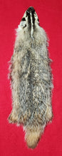 Load image into Gallery viewer, Badger - BDG1006
