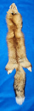 Load image into Gallery viewer, Red Fox Hide - RFX1005
