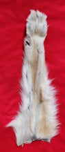 Load image into Gallery viewer, Wolf Front Legskin - HAS FOOT AND CLAWS - WLF1126
