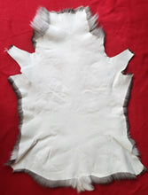 Load image into Gallery viewer, Caribou - Reindeer Hide - CAR1006

