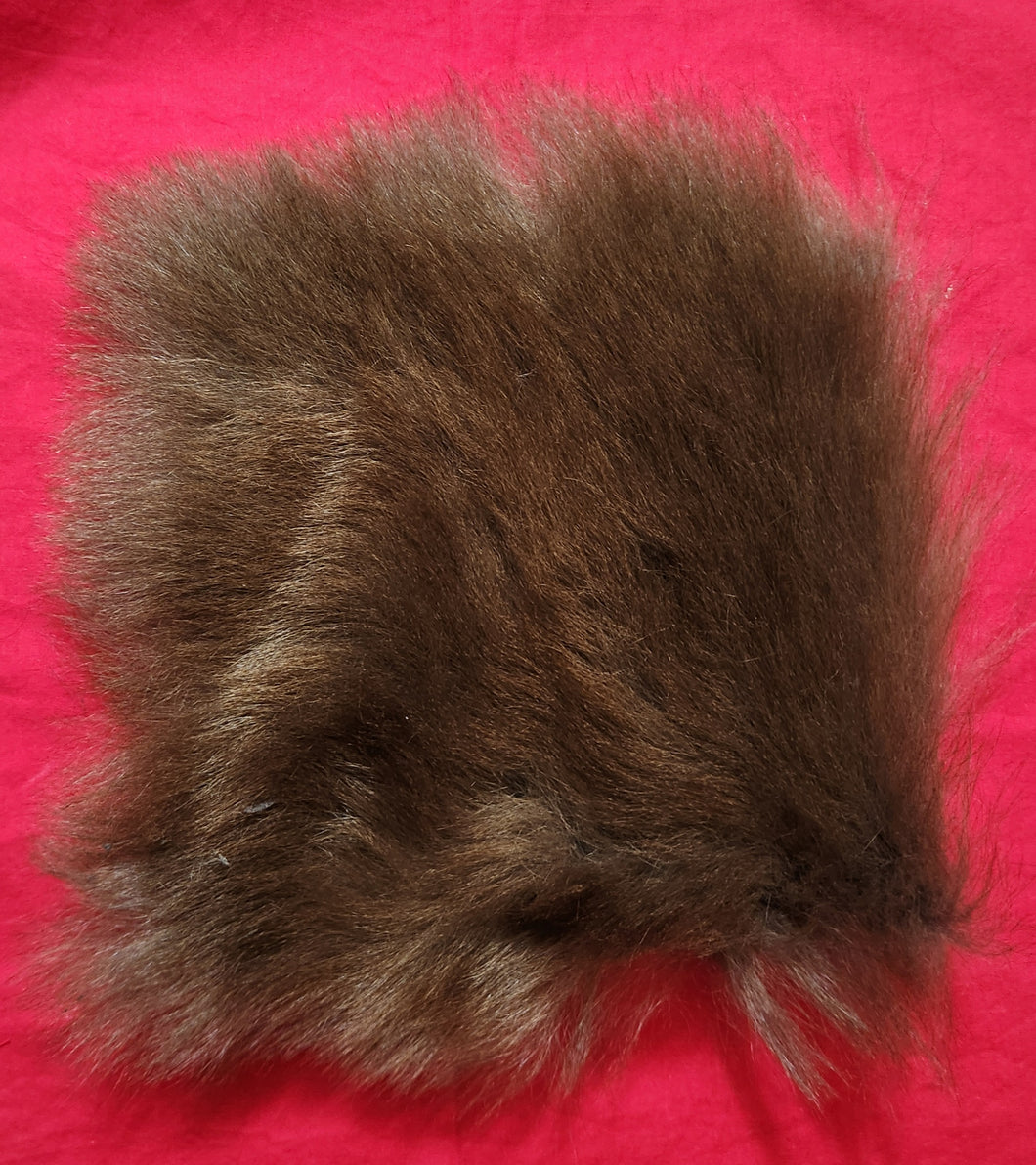 Black Bear Hide - 10