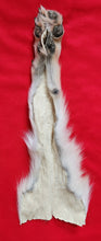 Load image into Gallery viewer, Wolf Front Legskin - HAS FOOT AND CLAWS - WLF1125
