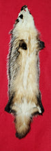 Load image into Gallery viewer, Badger - BDG1007
