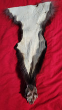Load image into Gallery viewer, Black Wolf Rear Legskin - HAS FOOT AND CLAWS - WLF1108
