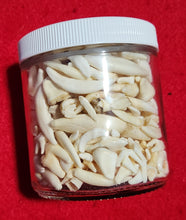Load image into Gallery viewer, Jar of Mixed Teeth &amp; Bones
