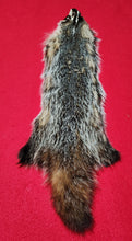 Load image into Gallery viewer, Badger - BDG1007
