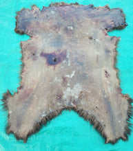 Load image into Gallery viewer, Black Bear Hide - Chocolate Color
