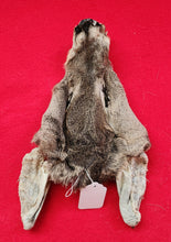 Load image into Gallery viewer, White-Tail Deer Head - Doe
