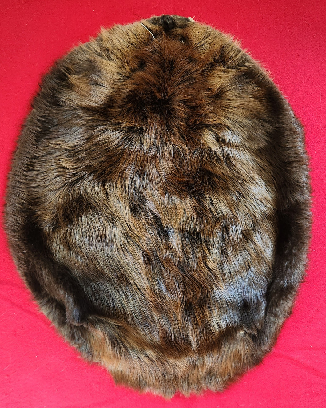 Large Beaver - BVR1082