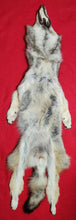 Load image into Gallery viewer, North Idaho Wolf Hide - Taxidermy Quality - WLF1095
