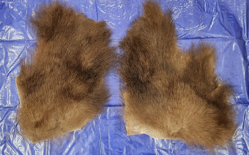 Black Bear Hide - Piece - Hind Hips - Light Brown Color