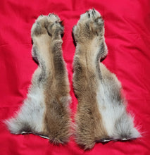 Load image into Gallery viewer, Mountain Lion Rear Legskins w/ Feet and Claws - MTL1019D4

