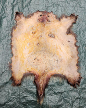 Load image into Gallery viewer, Porcupine Hide - PKY1020
