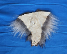 Load image into Gallery viewer, Wolf Vagina/Anus Area - Black/Silver Color - WLF1114
