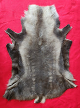 Load image into Gallery viewer, Caribou - Reindeer Hide - CAR1006
