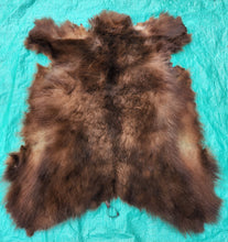 Load image into Gallery viewer, Black Bear Hide - Chocolate Color
