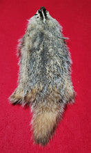 Load image into Gallery viewer, Badger - BDG1006
