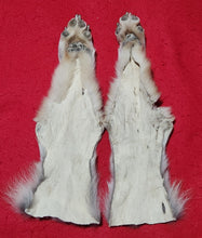 Load image into Gallery viewer, Wolf Rear Legskins - Pair - HAS FEET AND CLAWS - WLF1102
