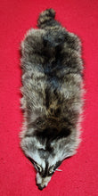 Load image into Gallery viewer, XL Raccoon Hide - HAS FEET AND CLAWS - RAC1018
