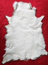 Load image into Gallery viewer, Caribou - Reindeer Hide - CAR1005
