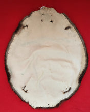 Load image into Gallery viewer, XL Beaver - BVR1080
