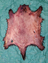 Load image into Gallery viewer, Porcupine Hide - PKY1019
