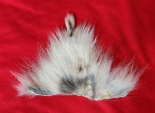 Load image into Gallery viewer, Wolf Vagina/Anus Area - WLF1124
