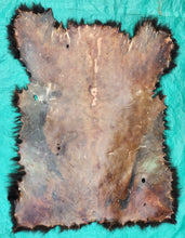 Load image into Gallery viewer, Black Bear Hide
