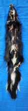 Load image into Gallery viewer, XL Striped Skunk Hide - HAS FEET AND CLAWS - SNK1015

